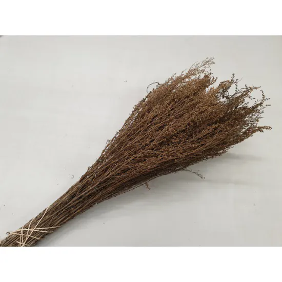 SOLIDAGO NATUREL BOPP/kraft