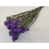 STATICE SINUATA BLAUW NATUREL BOPP/kraft hobbyverpakking