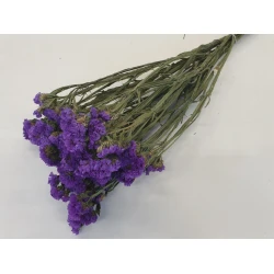 STATICE SINUATA BLUE NATURAL BOPP/kraft Small packaging