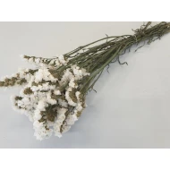 STATICE SINUATA WIT NATUREL BOPP/kraft hobbyverpakking