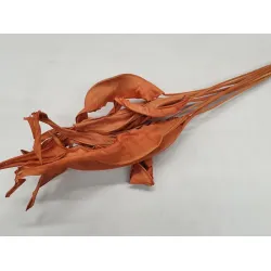 STRELITZIA LONG ORANGE (APRICOT) 10PCS BOPP/kraft Small packaging