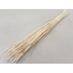 BLE (TRITICUM) BLANCHI +/-100GR BOPP/kraft emballage hobby