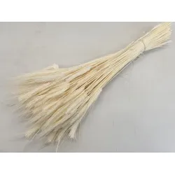 TRITICALE BLEACHED BOPP/kraft Small packaging