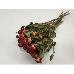 SPRAY ROSES ORANGE NATURAL BOPP/kraft Small packaging