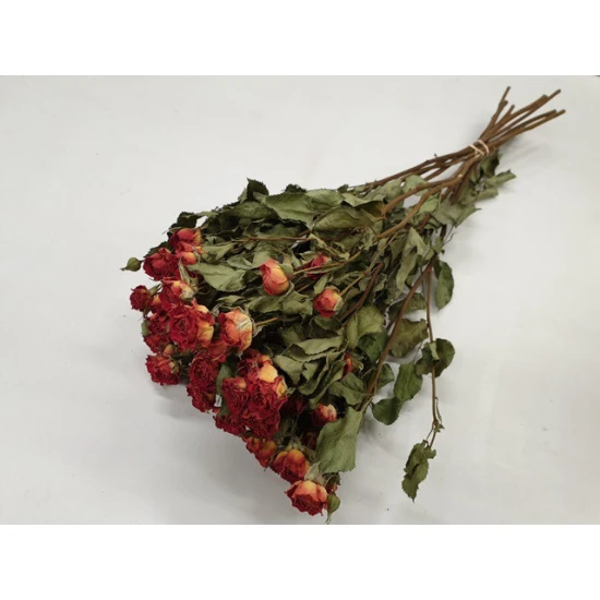SPRAY ROSES ORANGE NATURAL BOPP/kraft
