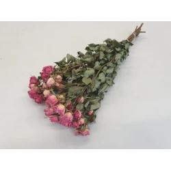 SPRAY ROSES PINK NATURAL BOPP/kraft Small packaging