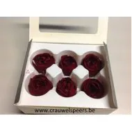 ROSE STABILISEE (ENGLISH ROSE JULIANA) +/-+/-3.5CM BORDEAUX 6PCS
