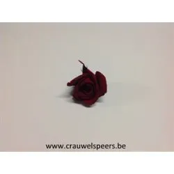 ROSE STABILISEE (KITTY) +/-3.5CM BORDEAUX 9PCS