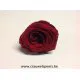 PRESERVED ROSE (LARGE OPEN) +/-6.5CM BORDEAUX 4PCS