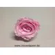 ROSE STABILISEE (LARGE OPEN) +/-6.5CM ROSE 4PCS