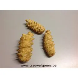 PEUCE BLANCHI +/-500GR