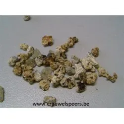 ROCKIES NATURAL 2.5KG