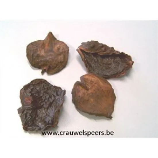 AKADA PETALS BROWN +/- 100GR