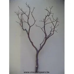 MANZANITATAK 60" NATUREL