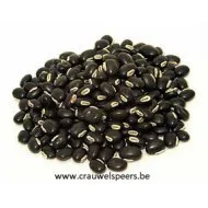 CACAUZINHO NATURAL +/-1KG