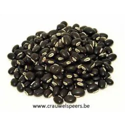 CACAUZINHO NATURAL +/-1KG