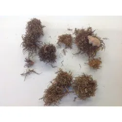 CURLY CONE NATUREL +/-300GR