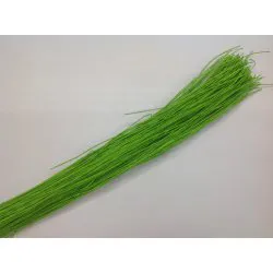 ROTTIN MOELLE 1.5MM LONG 77CM LIME GREEN +/-200GR
