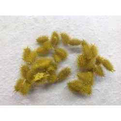 CARDING MINI LEMON +/-200GR