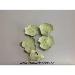 COCO FLOWER MINT 250GR