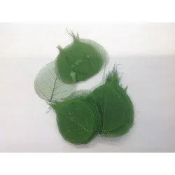 SKELETON LEAF DARK APPLE GREEN 100PCS