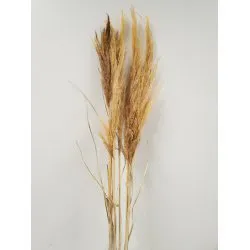 PAMPAS ZACHTGEEL 6ST