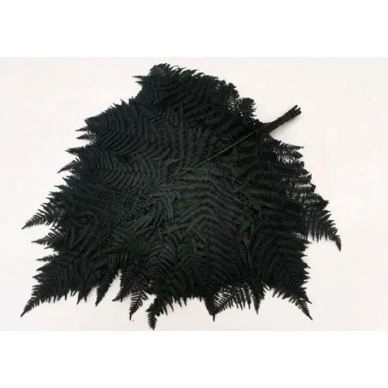 FOUGÈRE GRANDE VERT STABILISE 10PCS
