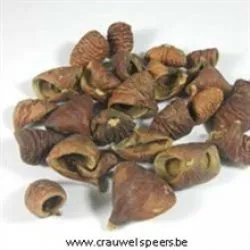 LALY PETALS NATUREL +/-250GR