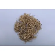 CURLY MOSS GOLD +/-30GR