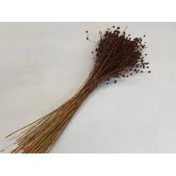 LIN BLEU MARRON +/-100GR