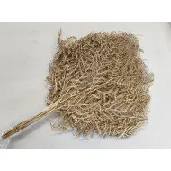 FOUGÈRE GRANDE OR 10PCS