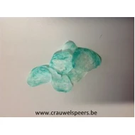 LUNARIA MUNT +/-40GR