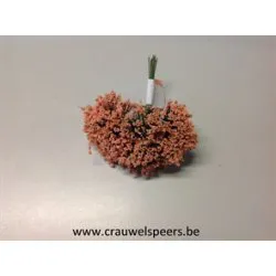 WILD FLOWER ORANGE 12PCS