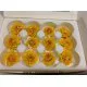 DAHLIA STABILISE (SNOWFLAKE) JAUNE 12PCS