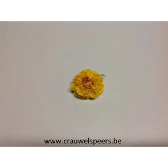 DAHLIA STABILISE (SNOWFLAKE) JAUNE 12PCS