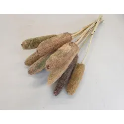 BABALA NATUREL 55CM 10PCS