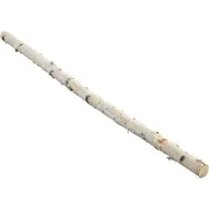 BIRCH BRANCHE +/-8CM 3M NATURAL