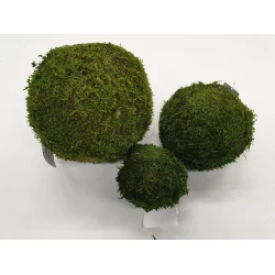 SPHERE GREEN MOSS PRESERVED 20CM
