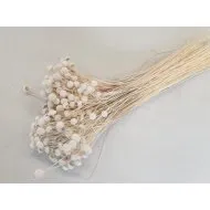 BOTAO BRANCO BLEACHED +/-100GR