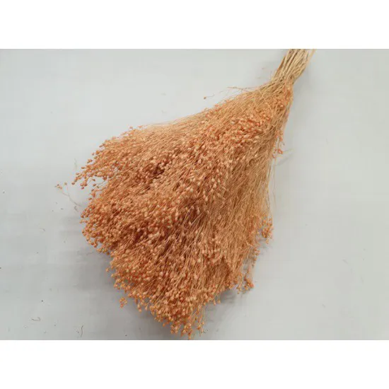 BROOM BLOOM MELOEN +/-100GR