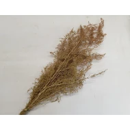 BRIZONNE NATURAL +/-50GR