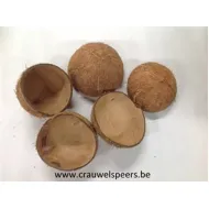 COCO NUT SHELL HALF NATURAL 5PCS