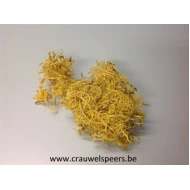 CURLY MOSS YELLOW +/-30GR
