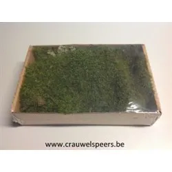 MOUSSE PLATE (MOUSSE VERT) BOITE +/-150GR