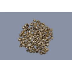 EUCALYPTUS FRUIT (PODS) GOLD +/-500GR