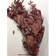 OAK PRESERVED (STABILIZED) BORDEAUX 1/2 KRAFT/BOPP