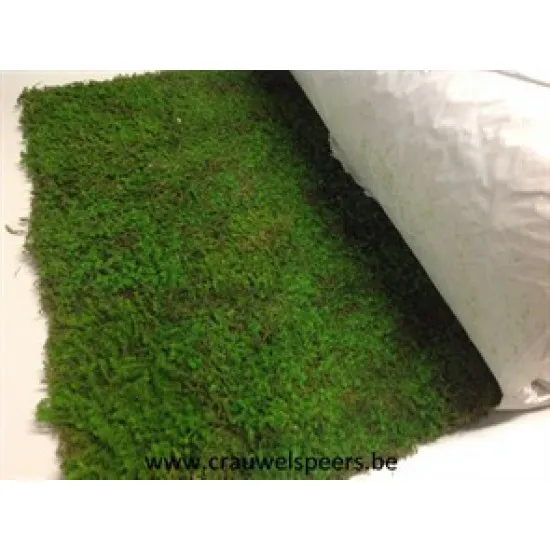 ROULEAU DE MOUSSE STABILISEE VERT 50CMX300CM 1PC