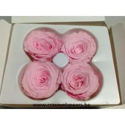 ROSE STABILISEE (LARGE OPEN) +/-6.5CM ROSE 4PCS