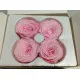 ROSE STABILISEE (LARGE OPEN) +/-6.5CM ROSE 4PCS