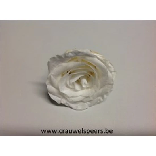 PRESERVED ROSE (LARGE OPEN) +/-6.5CM WHITE 4PCS